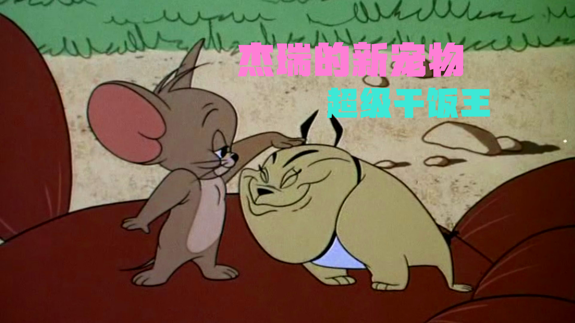 杰瑞养了只小狗?还能帮杰瑞收拾汤姆,这下厉害了!