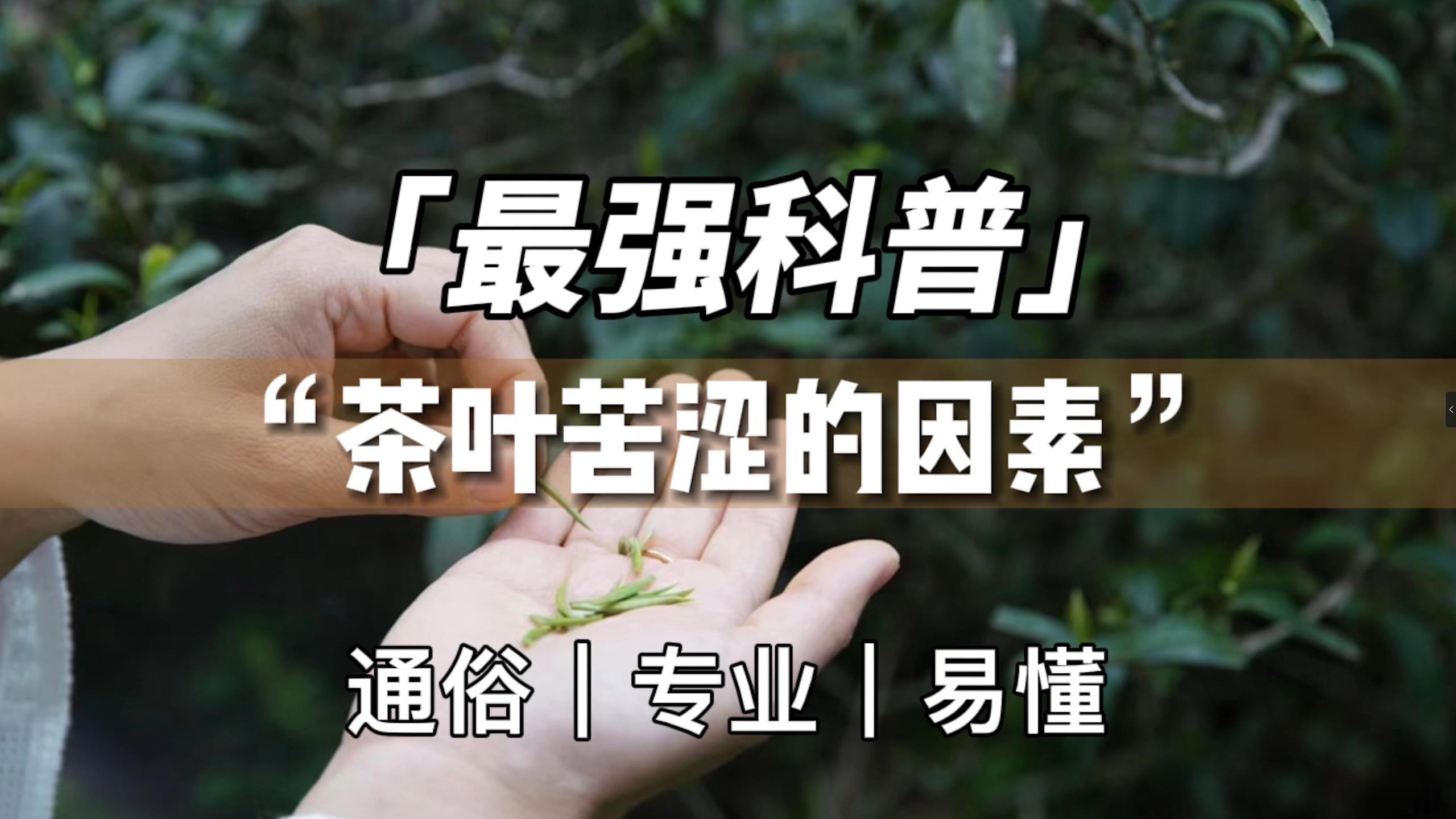 学茶笔记34|茶叶的苦涩成因与技术要点!及鉴别与避免的最全手册