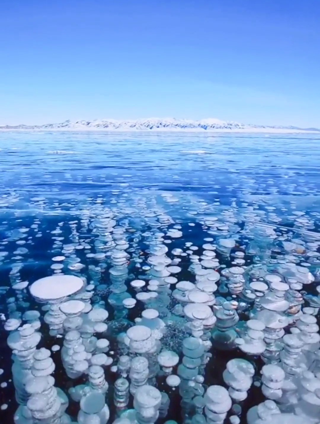 新疆赛里木湖冰泡图片