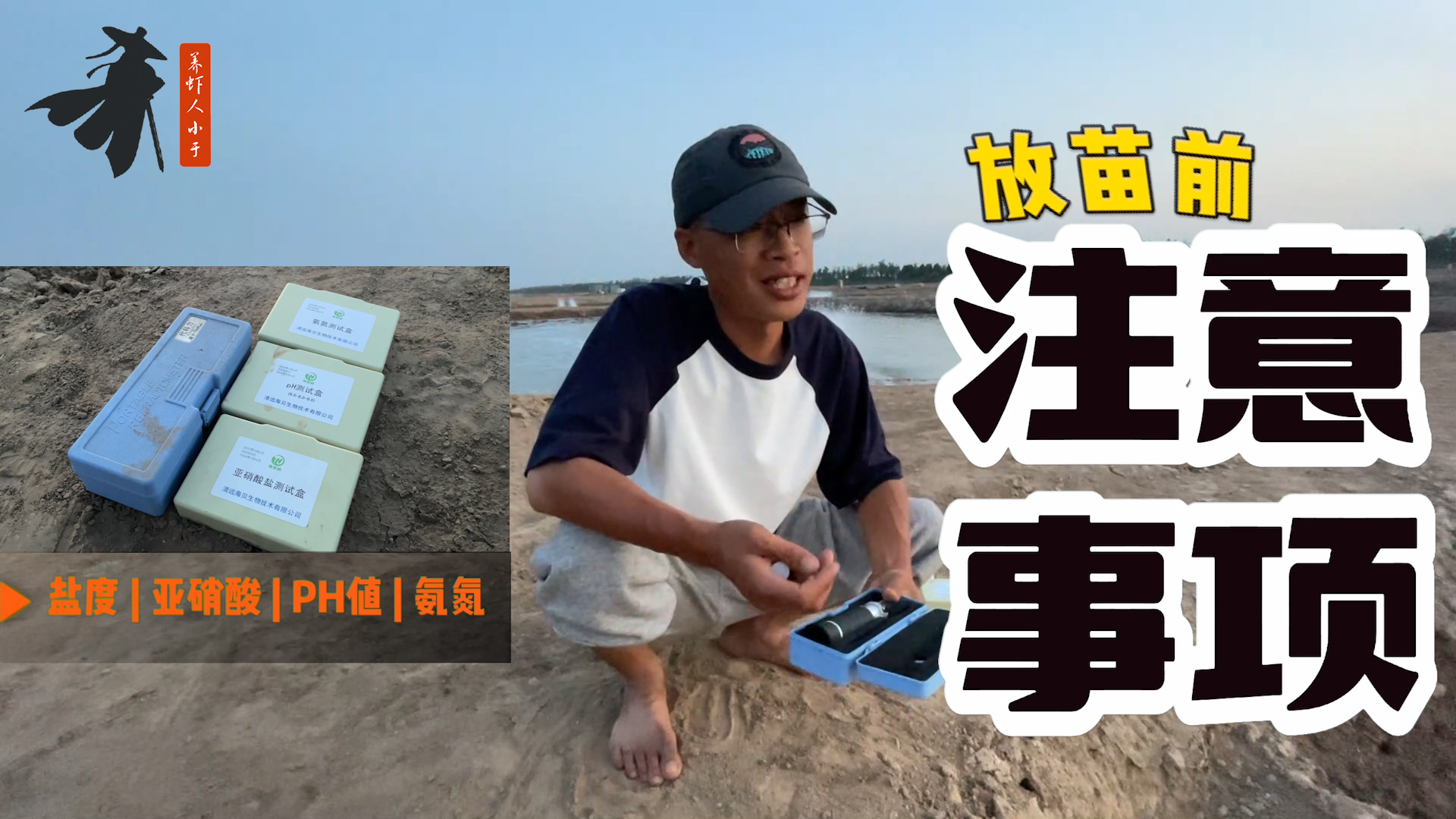 如何提高虾苗成活率,放苗前这几点工作不能马虎!