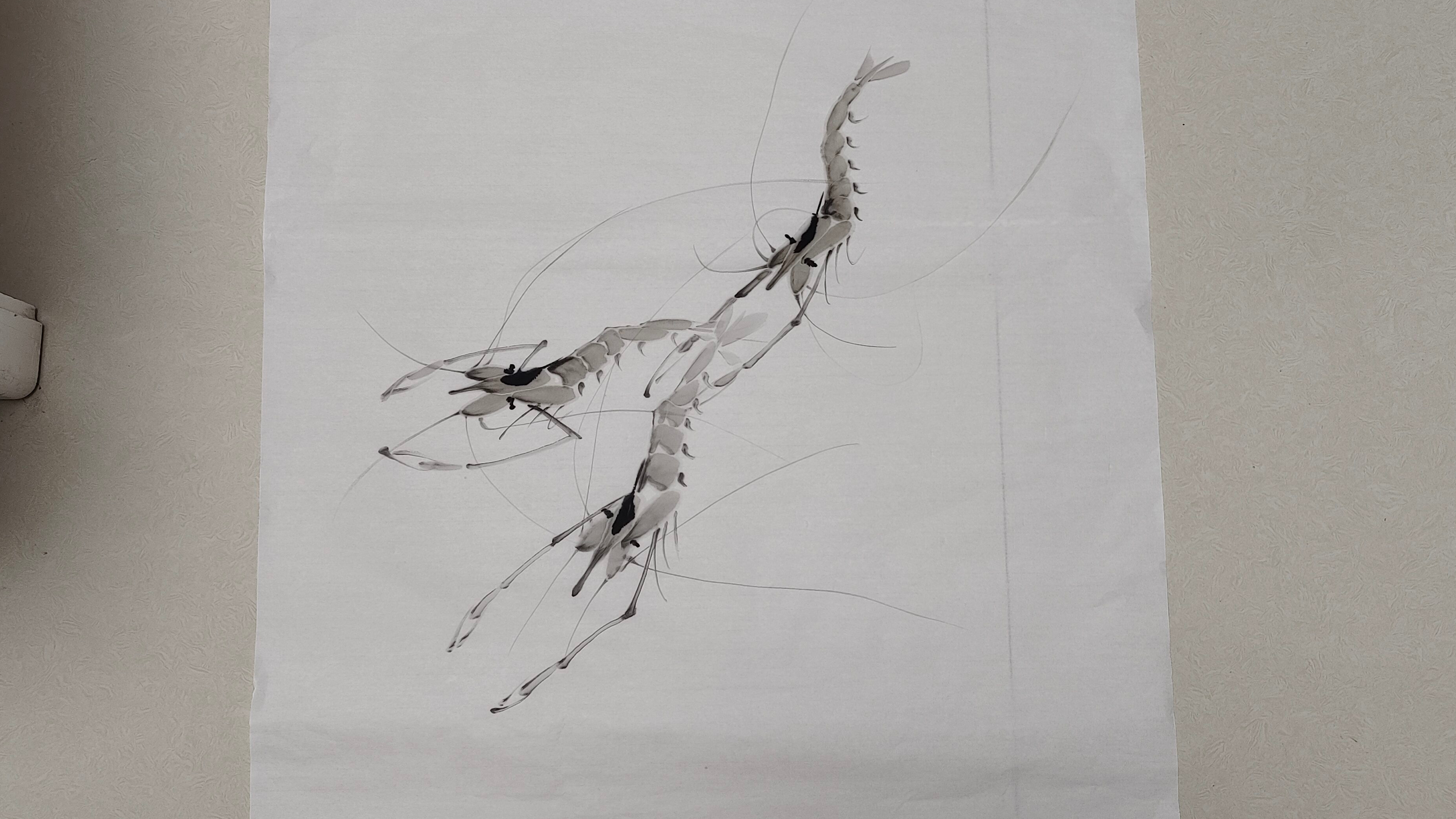 国画虾——两点突出争游姿势画法