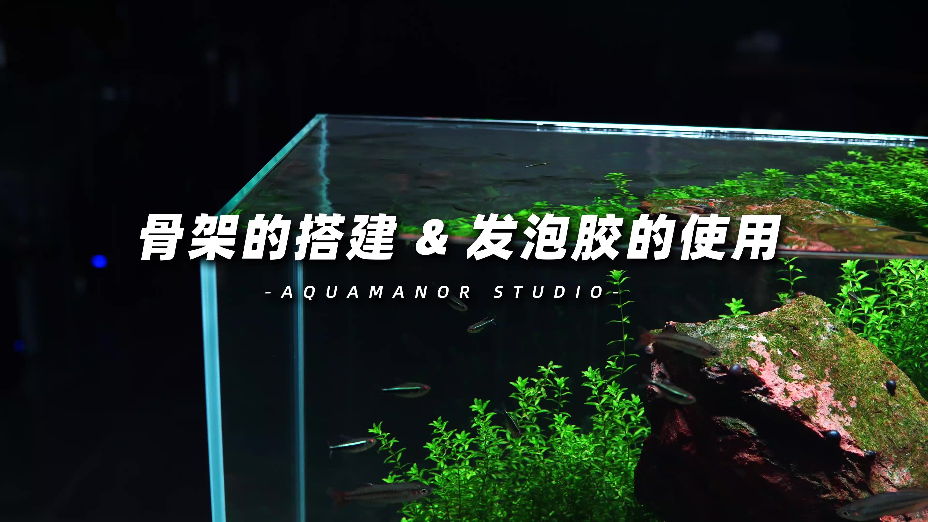 水族骨架搭建以及发泡胶的使用分享