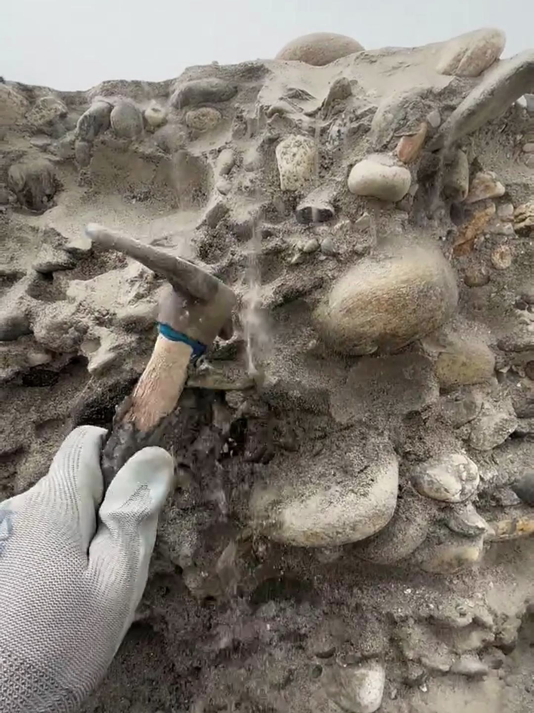 户外挖玉,新疆和田玉籽料原石