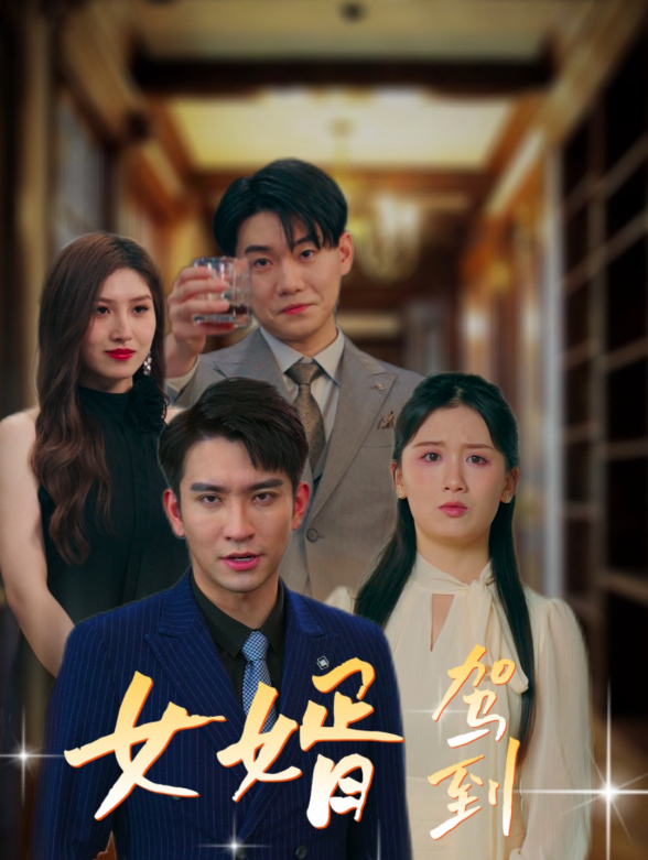 女婿驾到，通通闪开