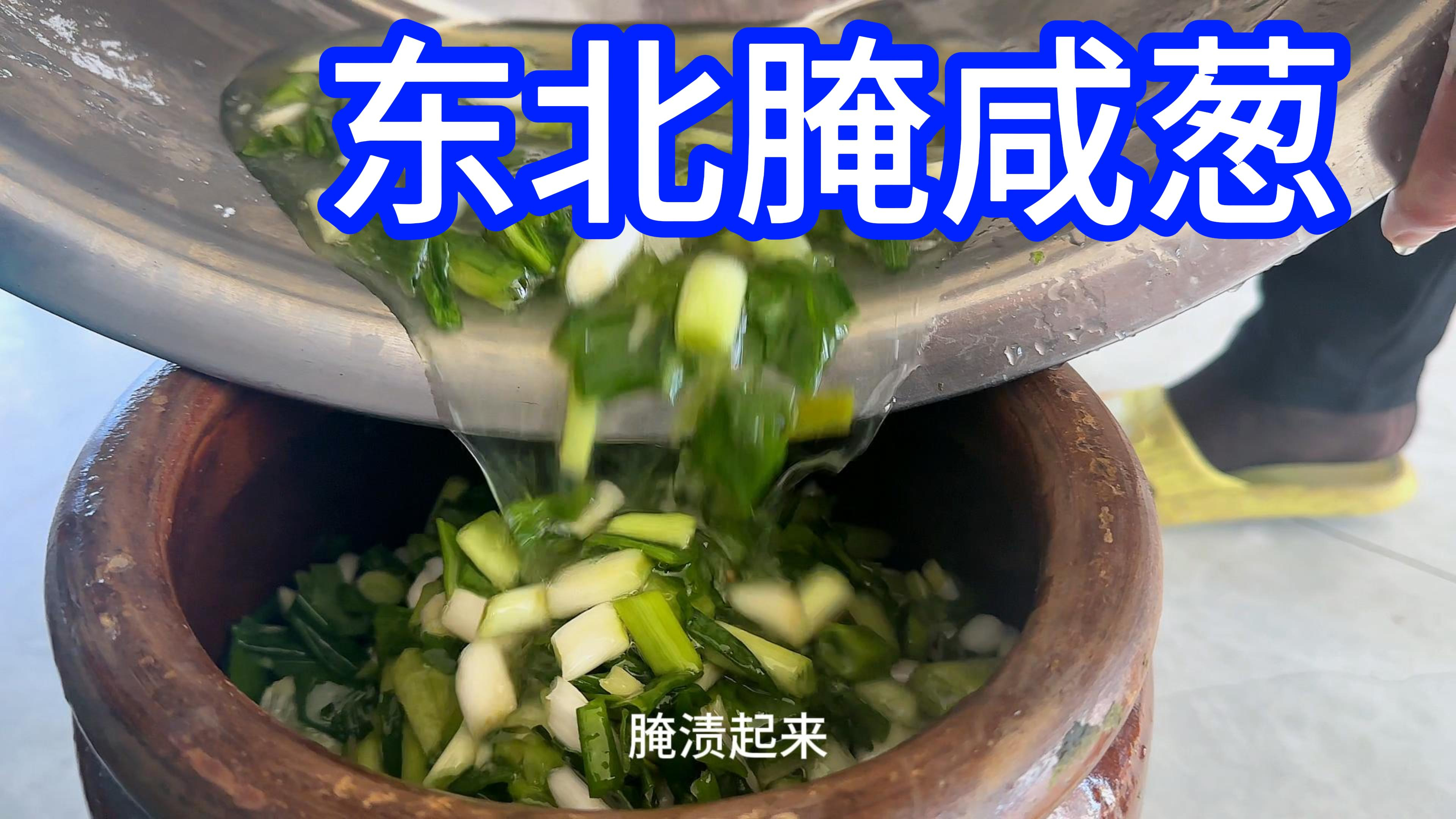 冬储剩下的大葱做成东北的腌咸葱,一点不辣还有一丝甜,咸香脆爽