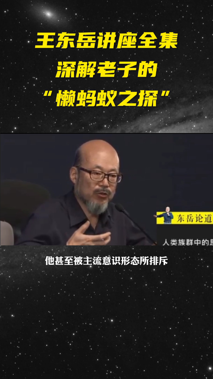 王东岳讲座全集:深解"懒蚂蚁之探"-度小视