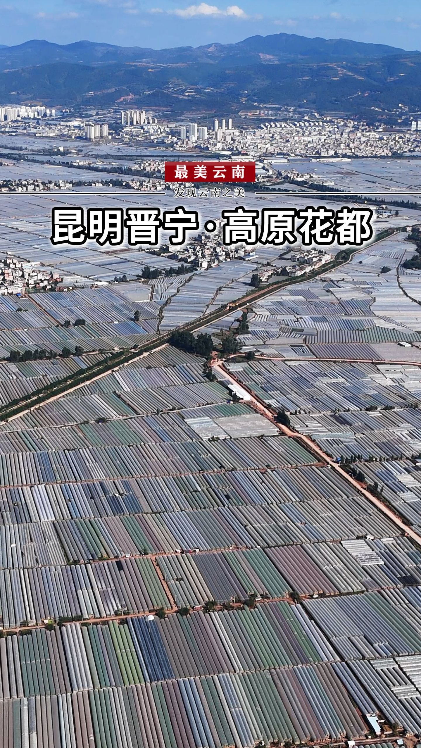 中国三大花卉基地图片