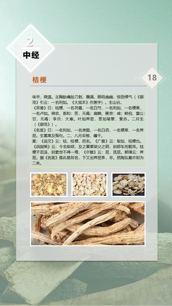 神农本草经为你解读-桔梗