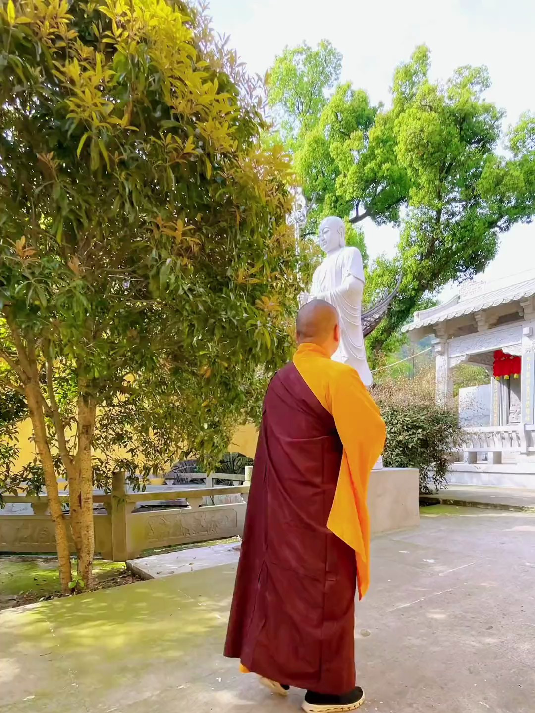 台州温岭温峤妙严禅寺美景,拿捏秋日的轻盈感