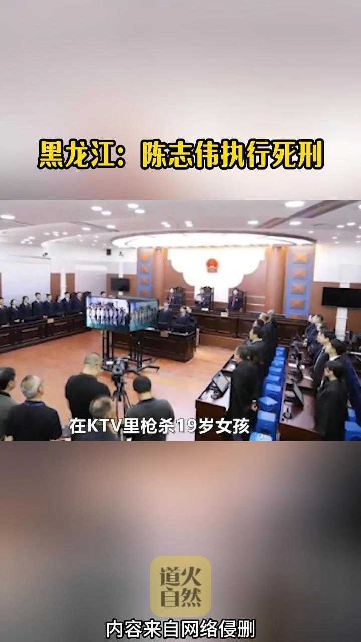 黑龙江陈志伟案最新图片