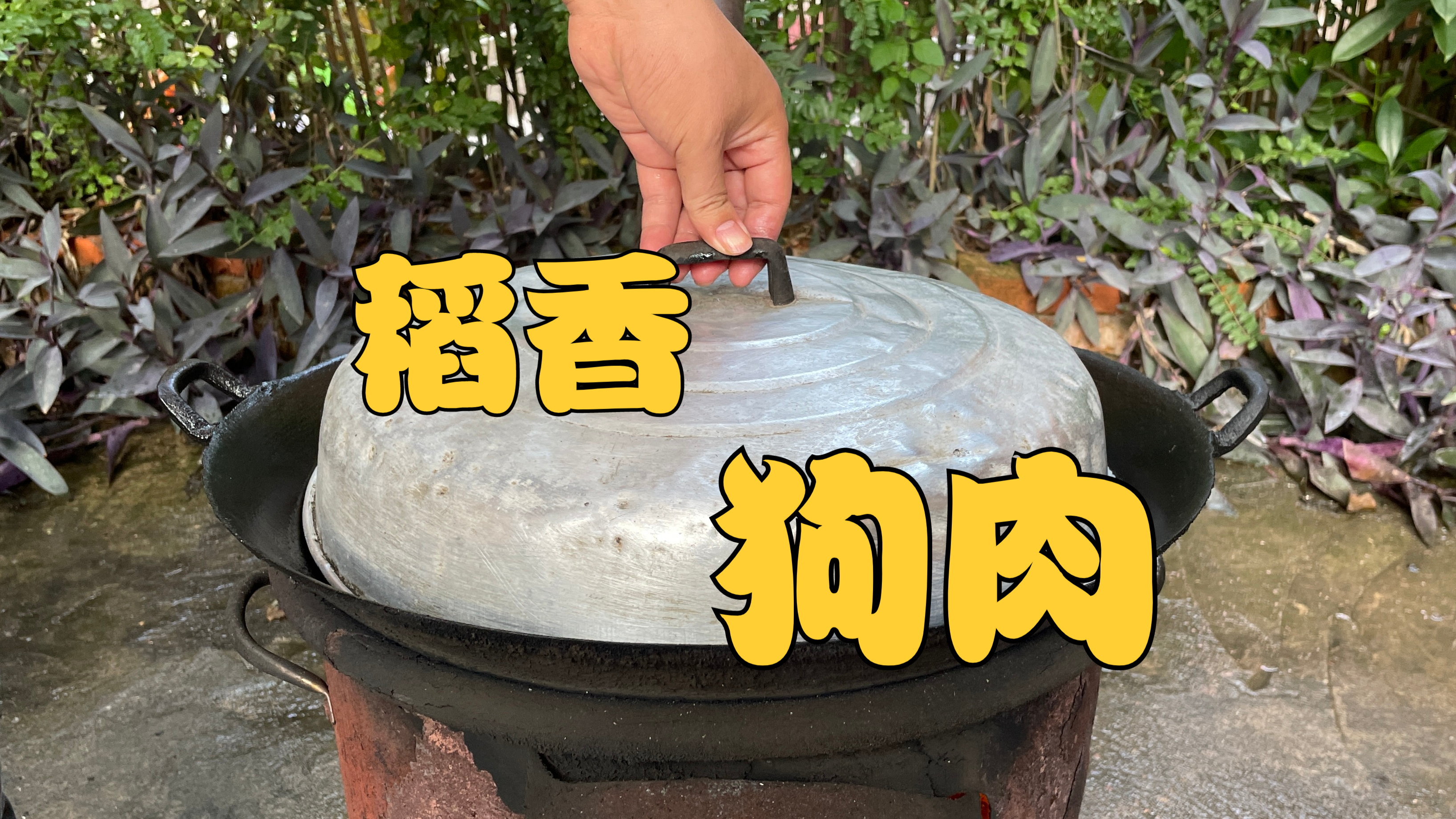 狗肉滚三滚，神仙站不稳，吃了多年的狗肉，最喜欢这吃法，太香了