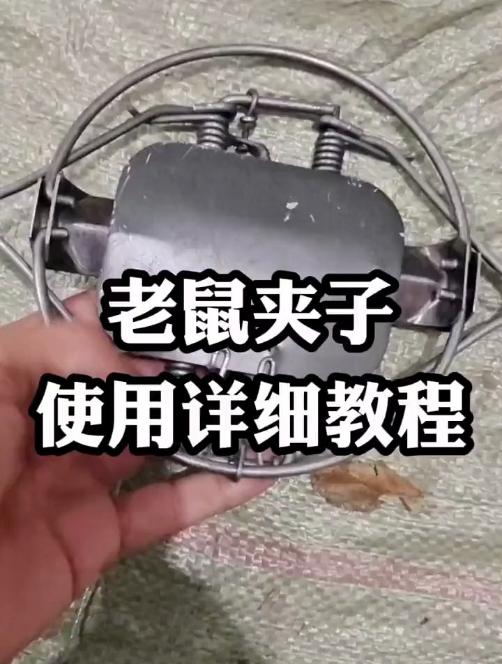 老鼠夹子 捕鼠神器 老鼠克星