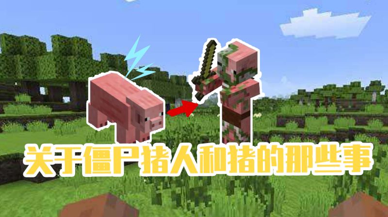 我的世界：揭秘僵尸猪人萌新不知道的知识！小猪可以变身猪人？,游戏,沙盒游戏,好看视频