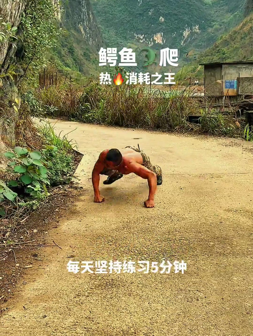鳄鱼爬的好处,你们都有过了解吗-度小视