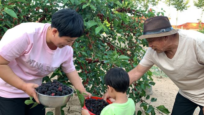 [图]农家小院真热闹，鸭鹅成群，果蔬飘香，亲朋好友共享丰收的喜悦