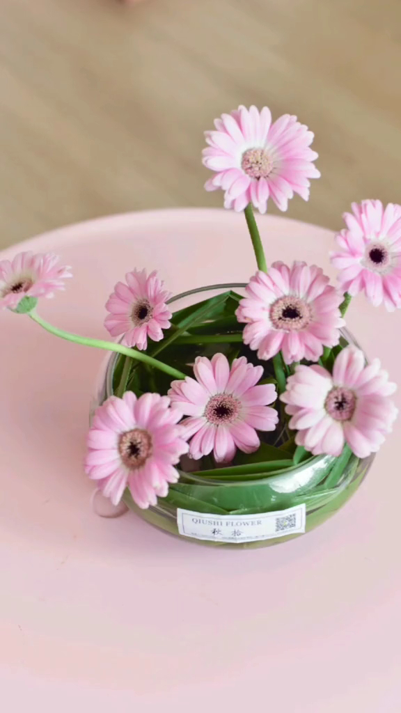 想要做一款无花泥环保插花水蜡叶来帮你啦