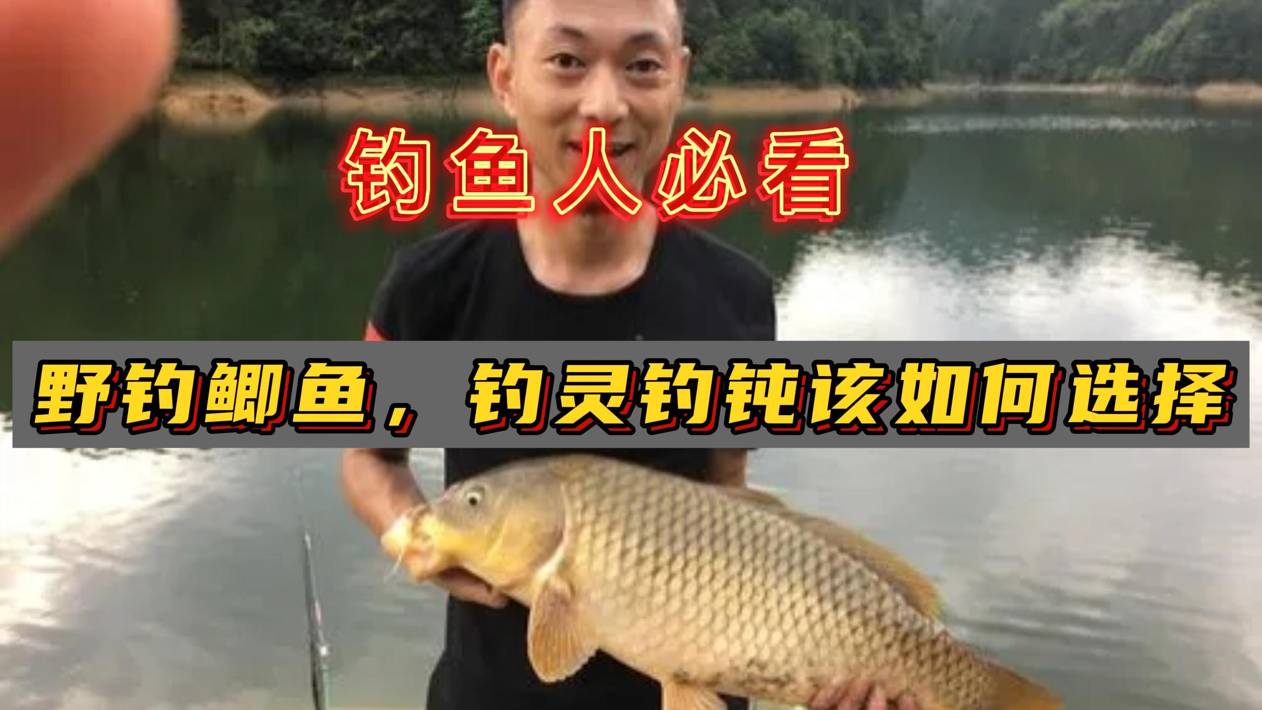 野钓鲫鱼钓灵还是钓钝?钓鱼人必看!