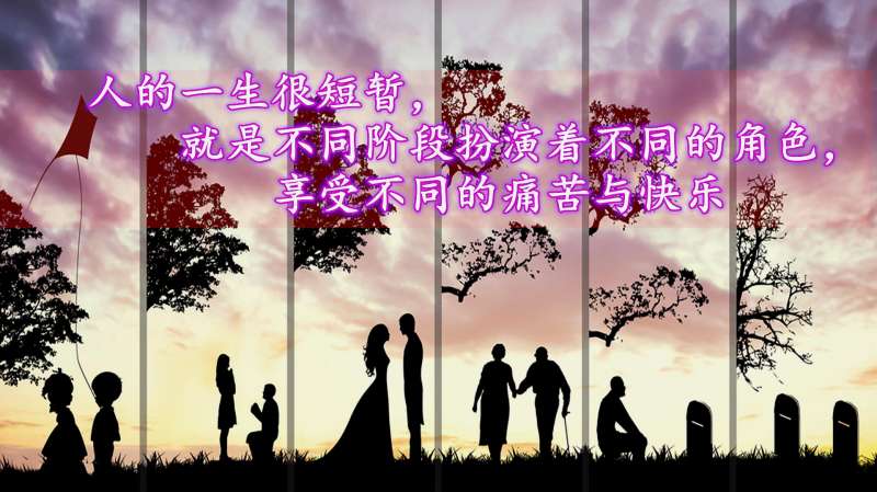 人的一生很短暂，不同阶段扮演不同的角色，享受着多种快乐和痛苦,情感,人生导师,好看视频