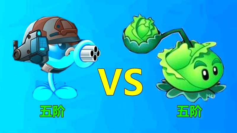 pvz2测试五阶机枪射手和卷心菜投手谁的伤害更强大