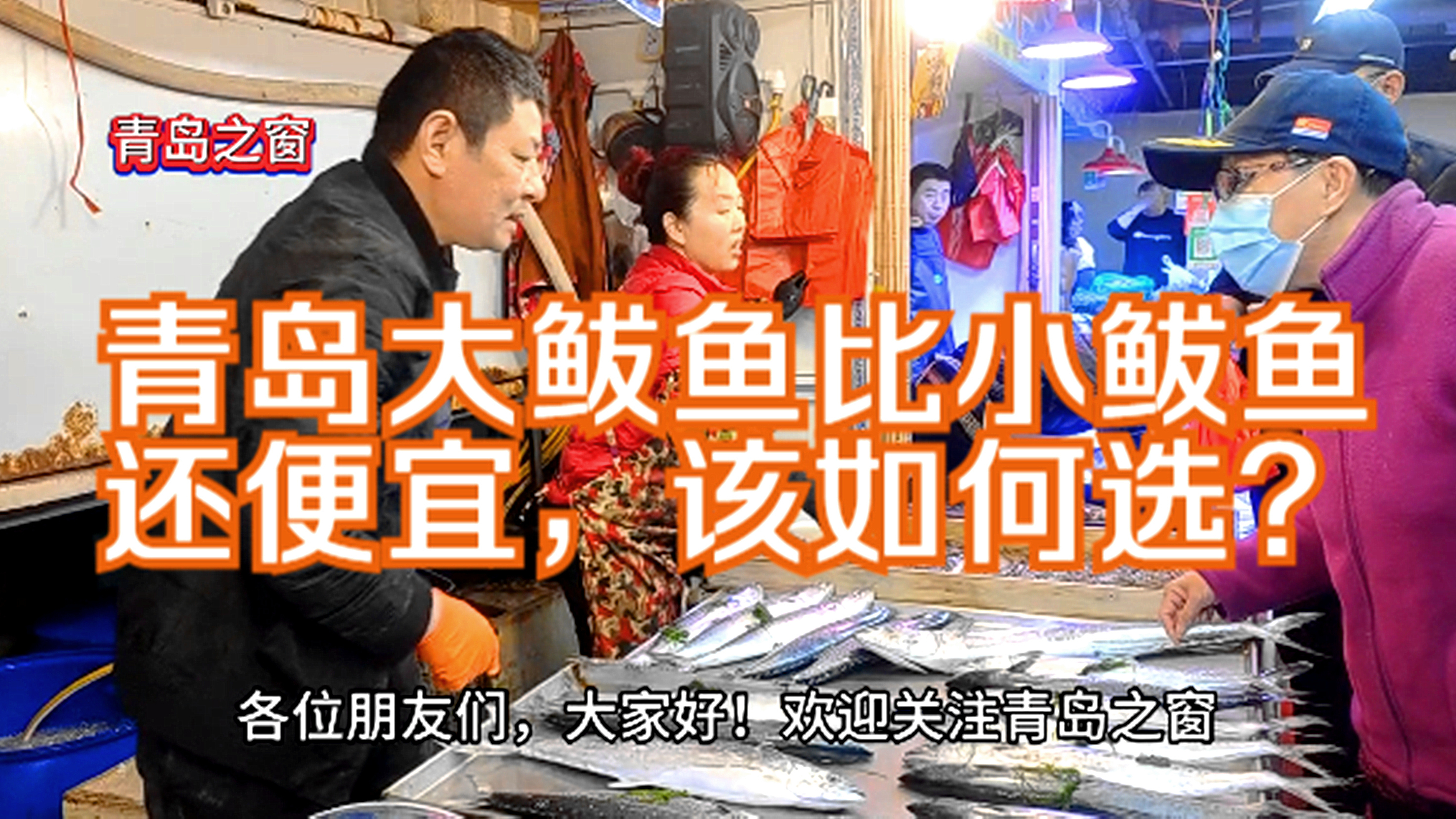 青岛鲅鱼热销,十几斤的大鲅鱼竟然比小鲅鱼还便宜,30元一斤