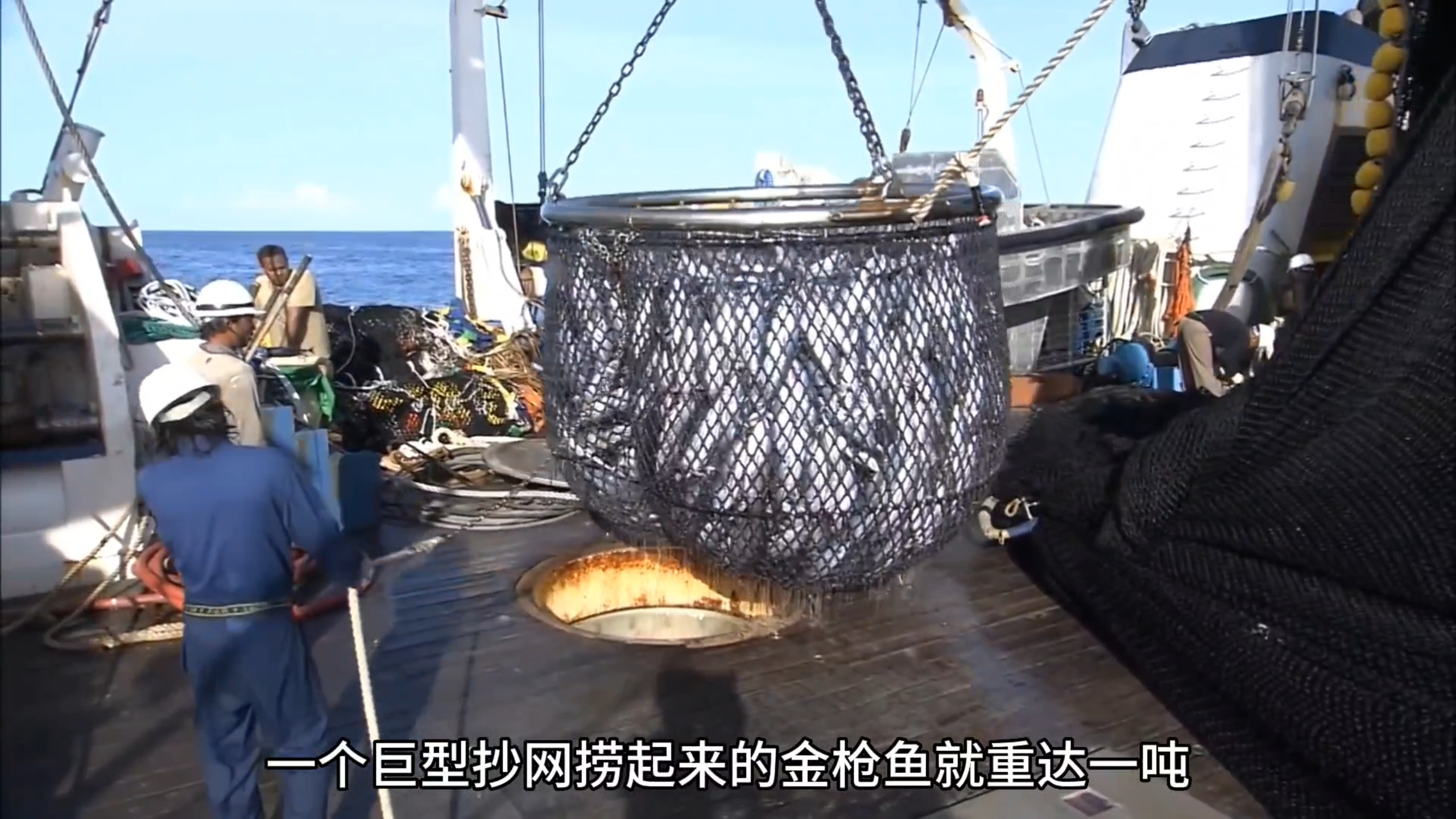 远洋围网渔船一次下网,带来100吨金枪鱼,现代化机器提供了方便