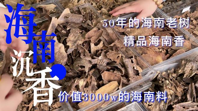 [图]3000W大树上下来的料，跟着春劲角度一睹顶级海南沉香的风采