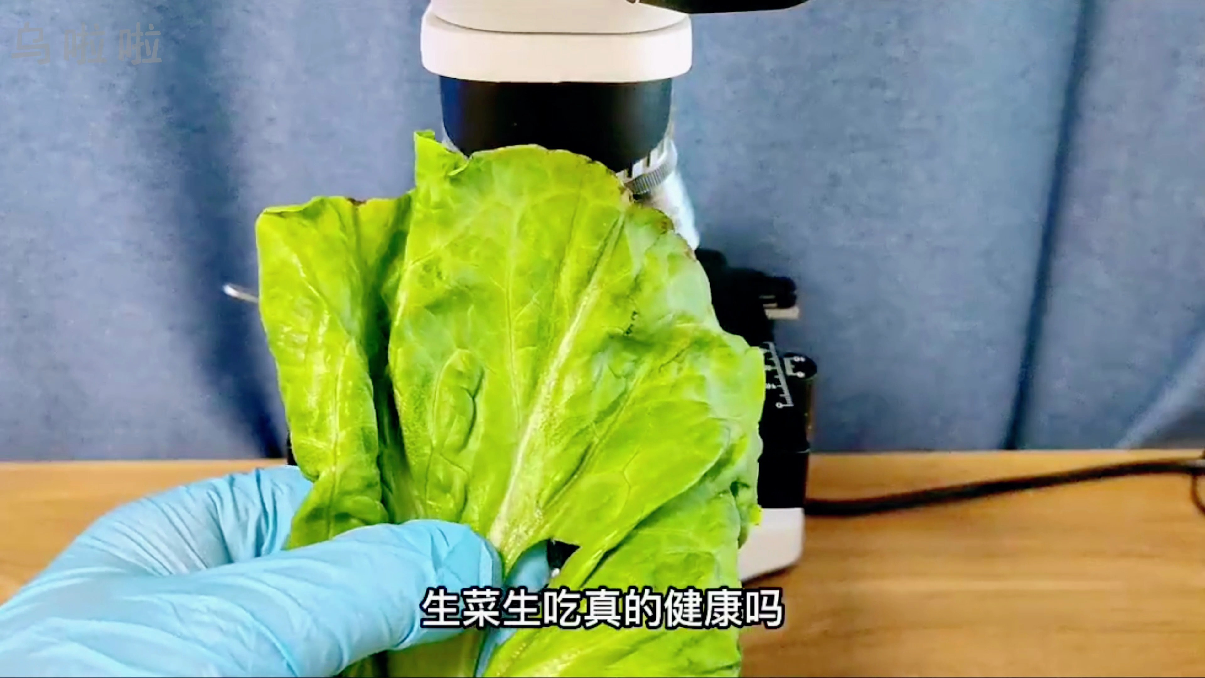 生菜生吃健康吗?显微镜 生菜