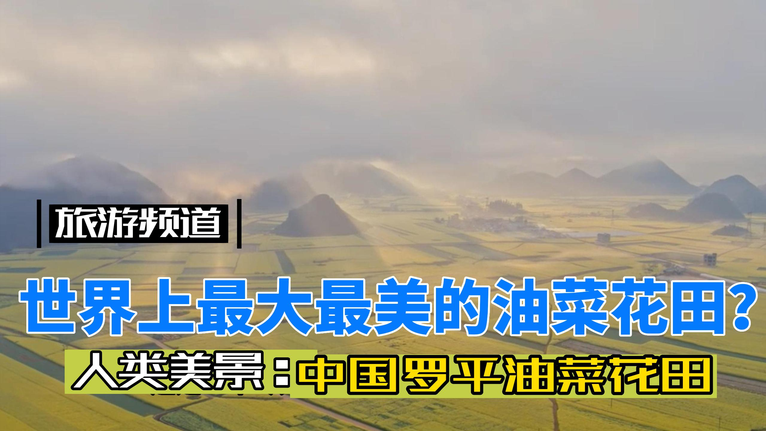 世界上最大最美的油菜花田——中国罗平油菜花田