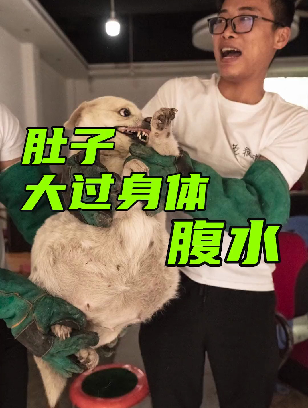 肚子大过身体 腹水