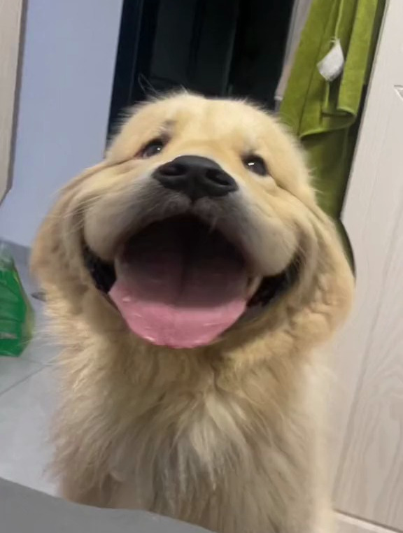 摇摇头把烦恼摇出来!