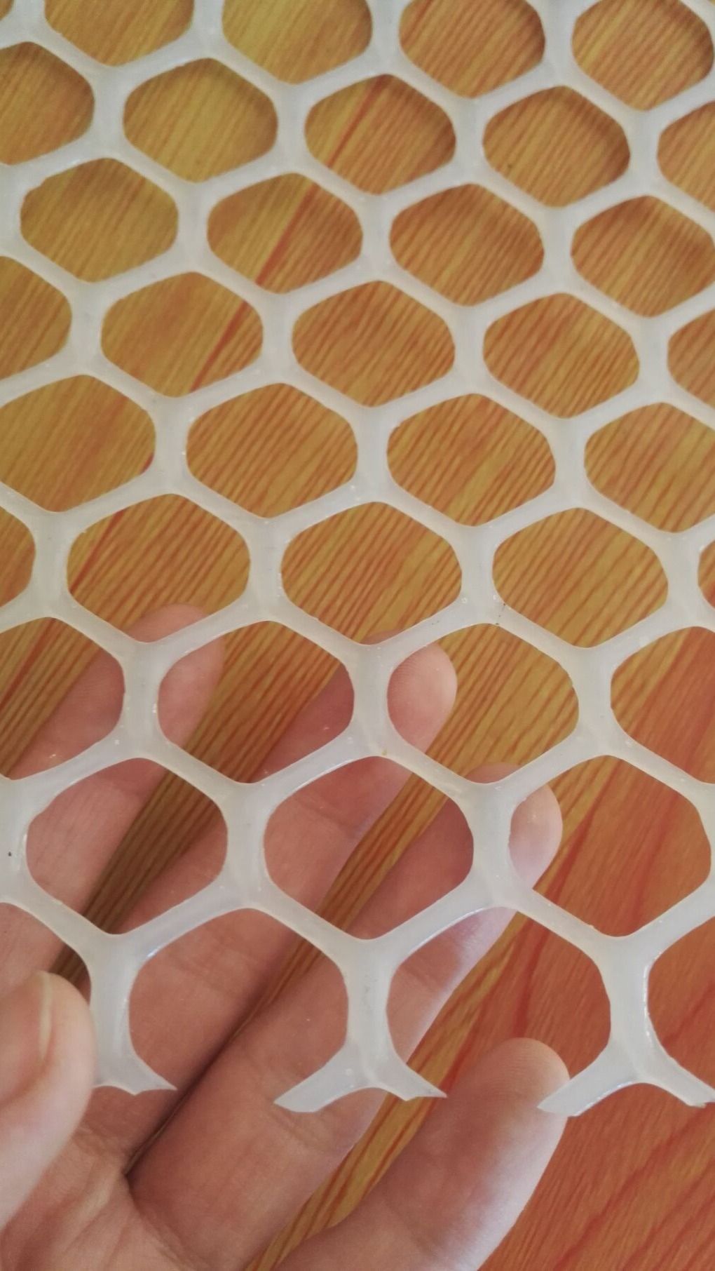 养鸡围栏塑料网a养鸡围栏塑料网厂家a塑料养殖围网