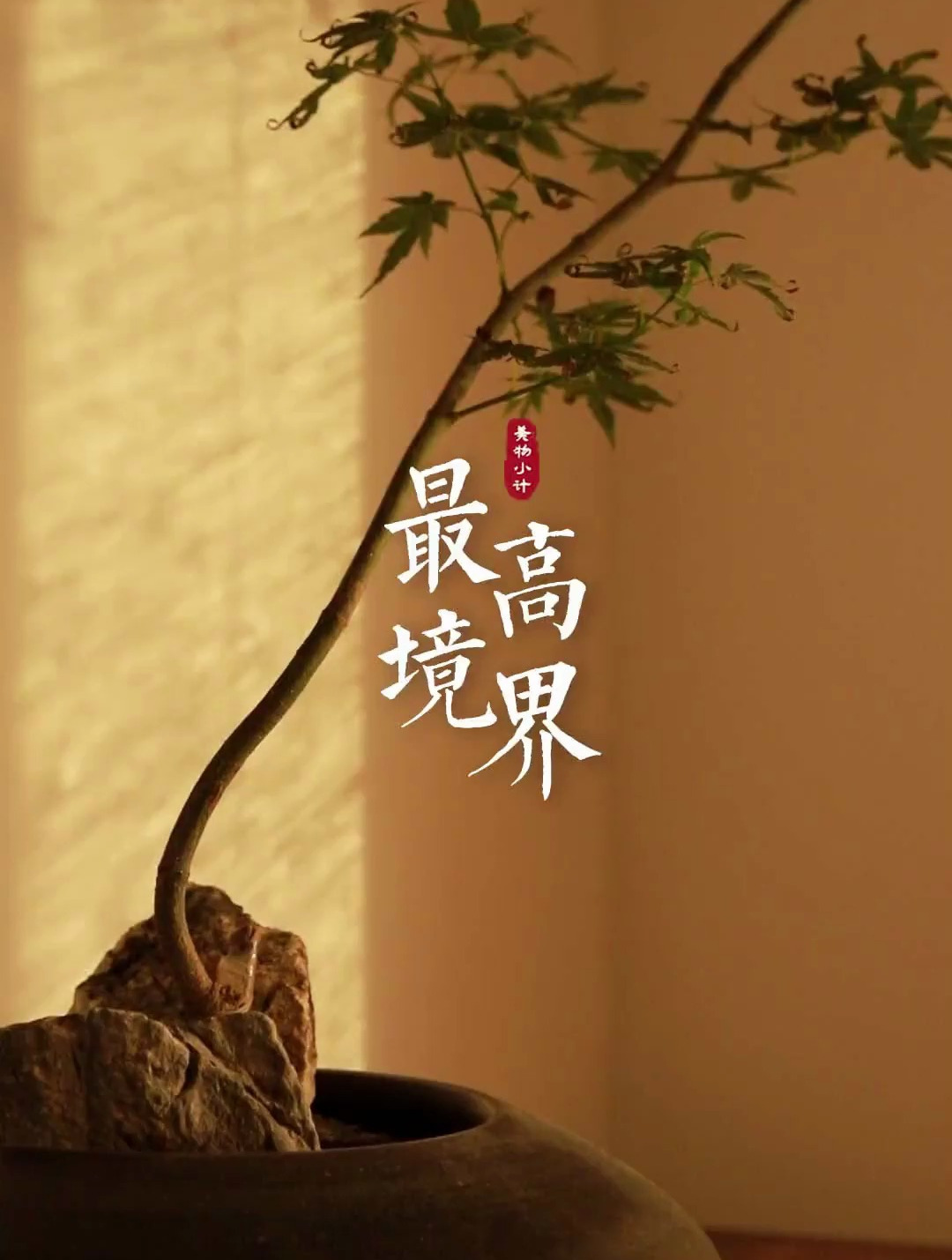 悟透这7点,人生的最高境界,莫过如此.人生