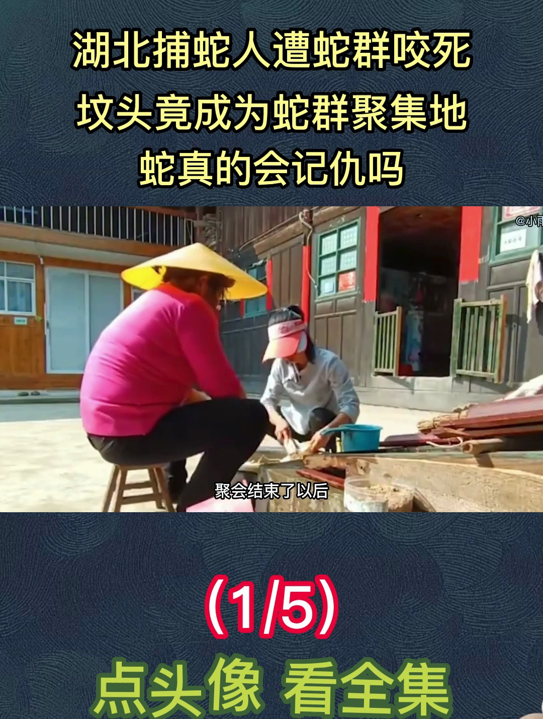 湖北捕蛇人遭蛇群咬死,坟头竟成为蛇群聚集地!难道蛇真会记仇?