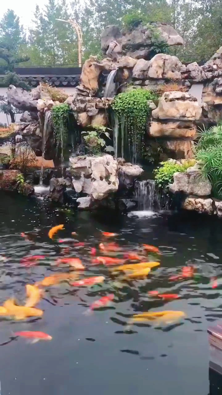 山不在高镇宅就行庭院太湖石假山锦鲤鱼池中式高大上