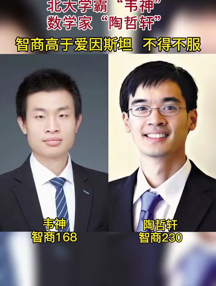 不得不服的"学神 北大数学天才韦东奕 陶哲轩