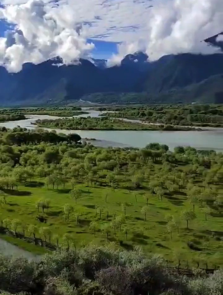 风景如画西藏林芝尼洋河畔桃花香