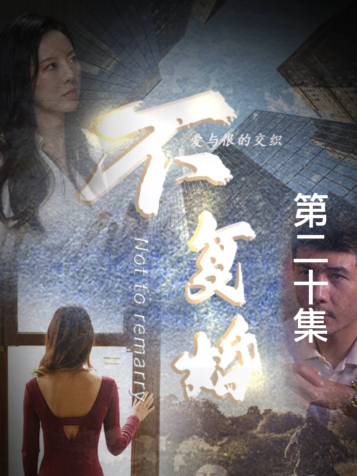 金牌律师(不复婚) 20