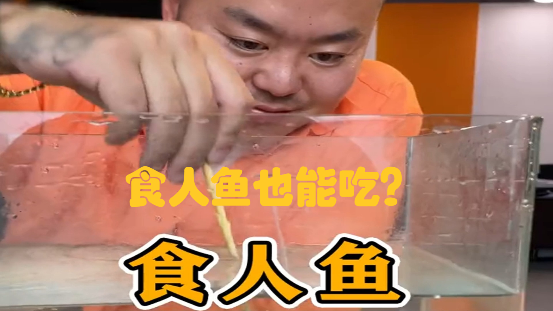 食人鱼也能玩出新花样?做个烤鱼,给兄弟长长见识