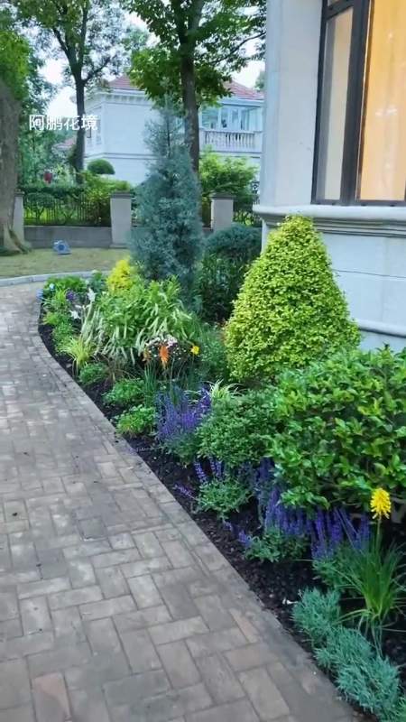 新作,上海欧式别墅花园花境设计-度小视