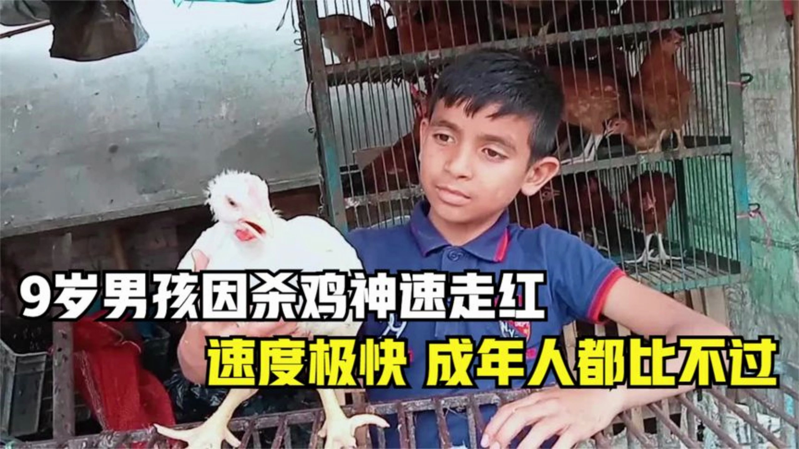 9岁小孩因杀鸡走红,1分钟处理一只鸡,手法粗暴,成年人都比不过