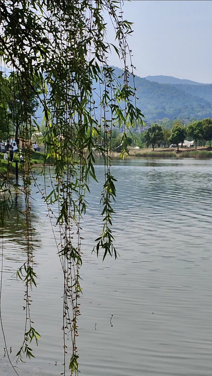 大美春日的南京汤泉九龙湖