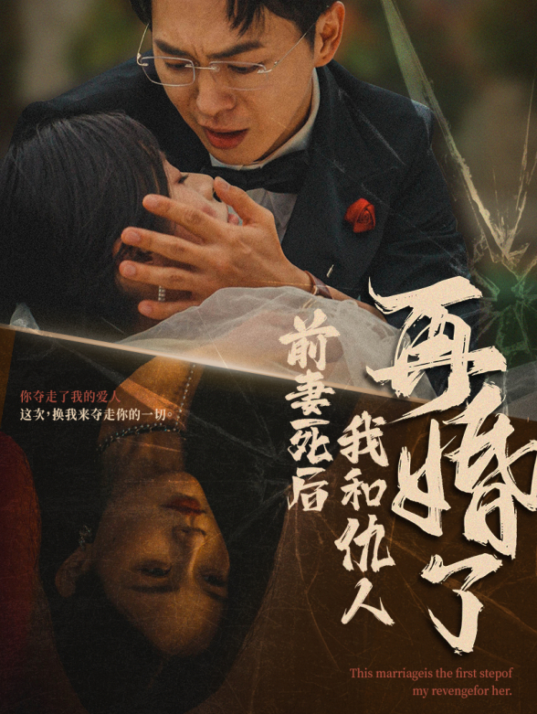 前妻死后我和仇人再婚了