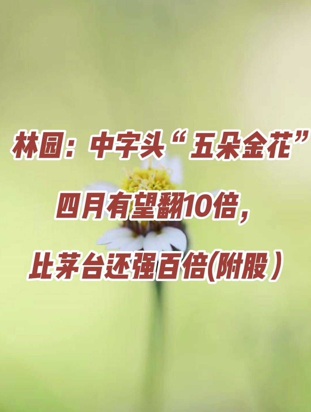 1 林园:中字头"五朵金花"四月有望翻10倍,比茅台还强百倍(附) 6