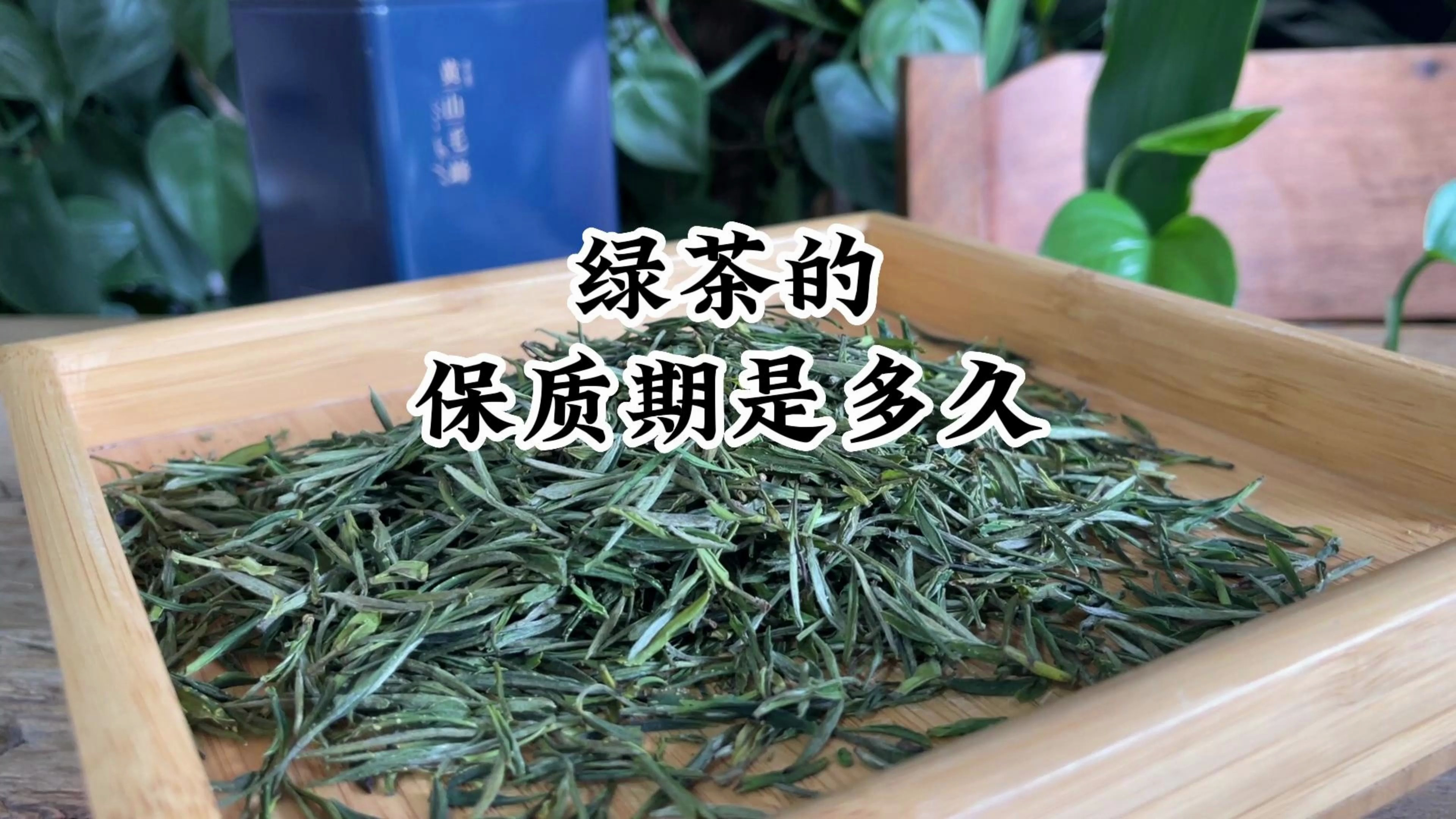 绿茶保质期一般多久?