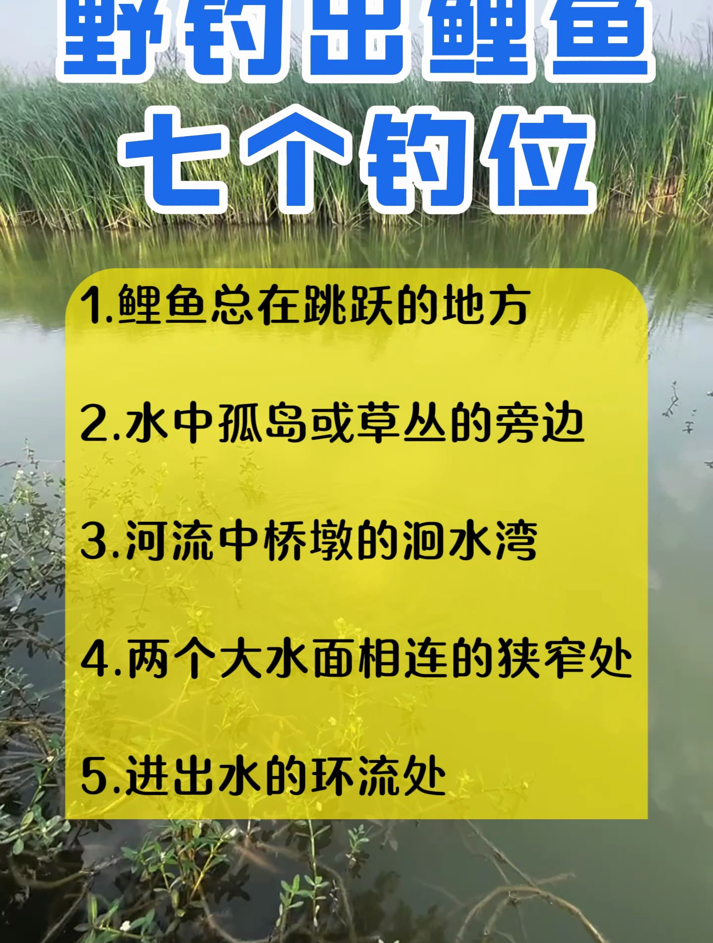 水库钓鱼的最佳位置图图片