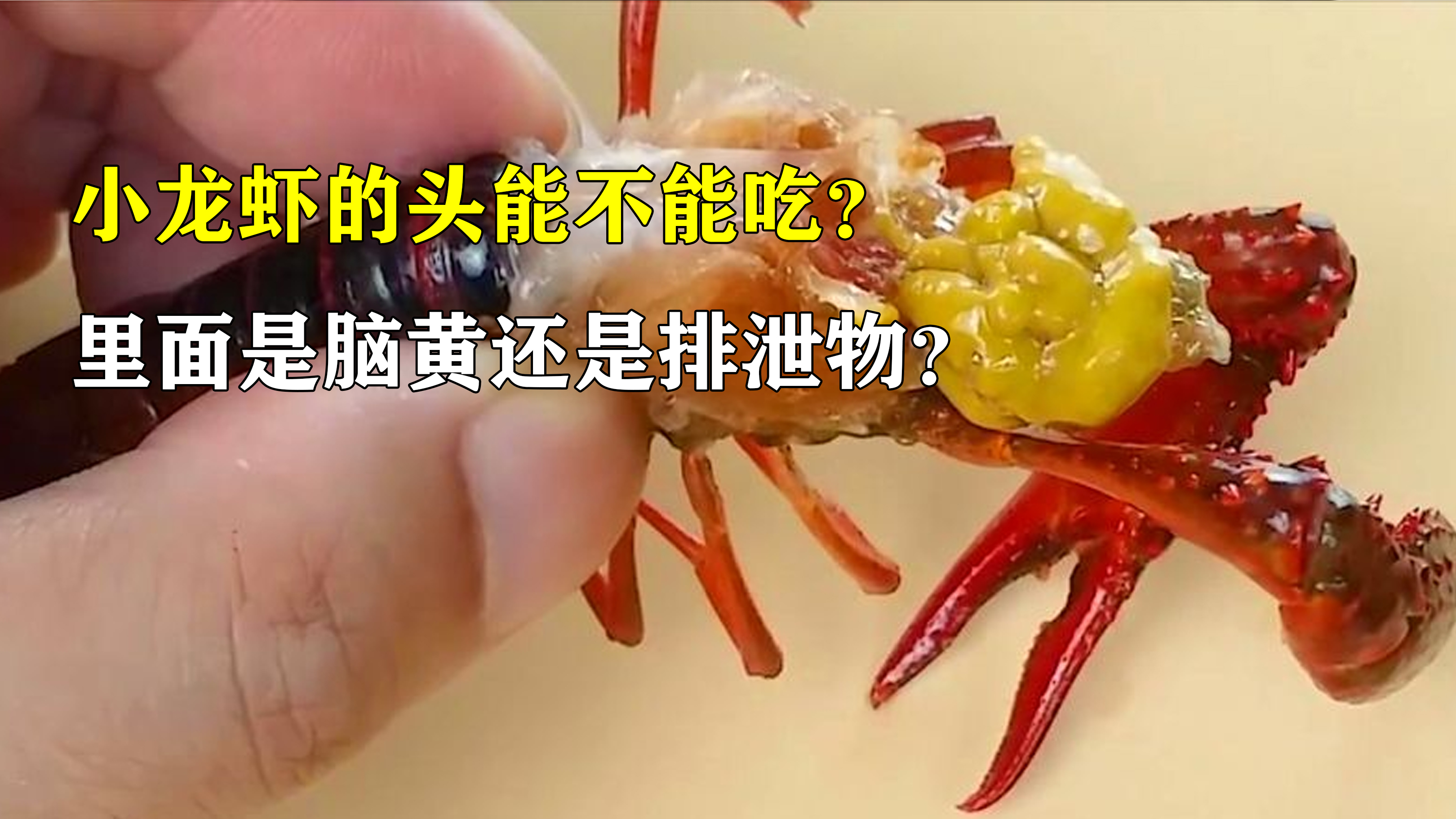小龙虾头能不能吃?虾黄是营养还是脏东西?专家:可以,但没必要