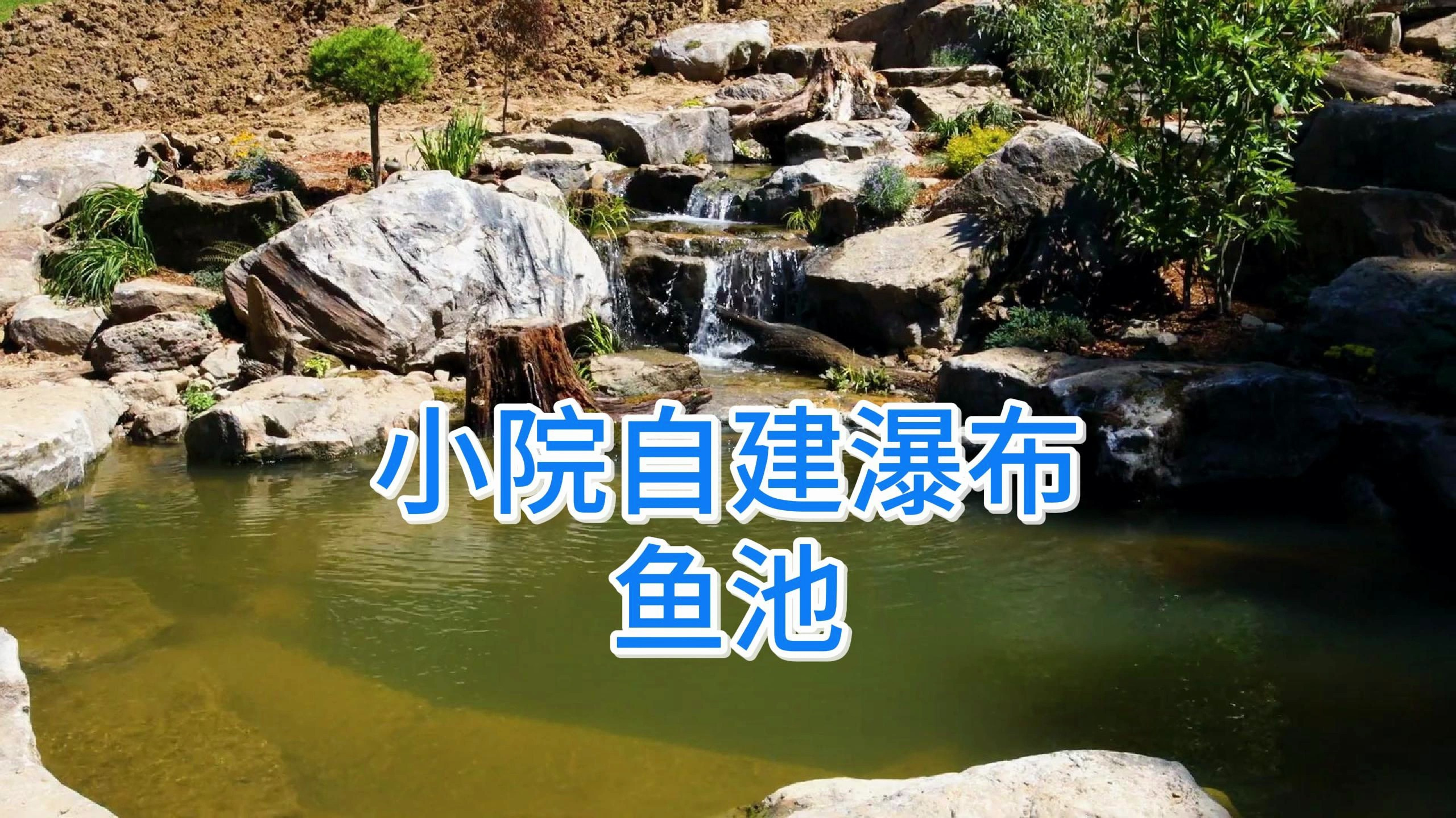 在房后的院子里,打造一个带瀑布的户外鱼池