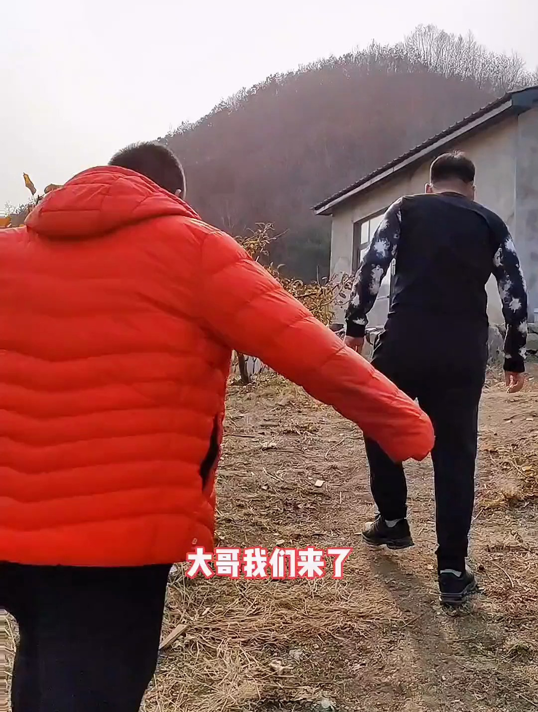 朝鲜族铁锅炖满满一大脚盆牛骨头,老二跟狗抢食了-度小视