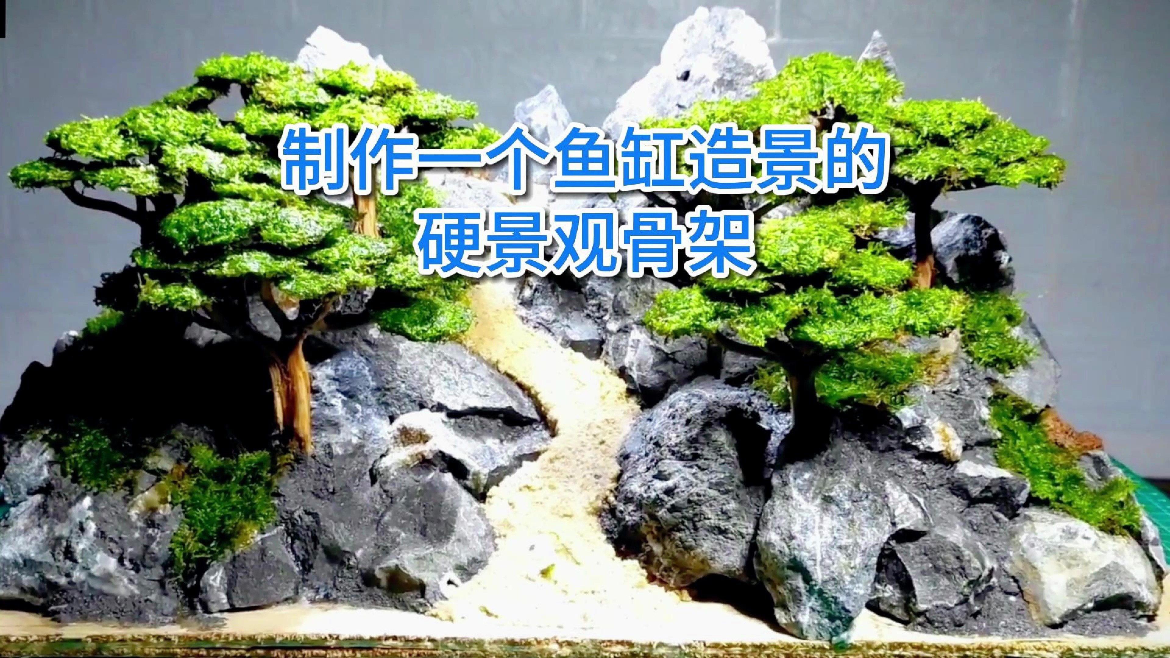 如何制作一个鱼缸造景的硬景观骨架