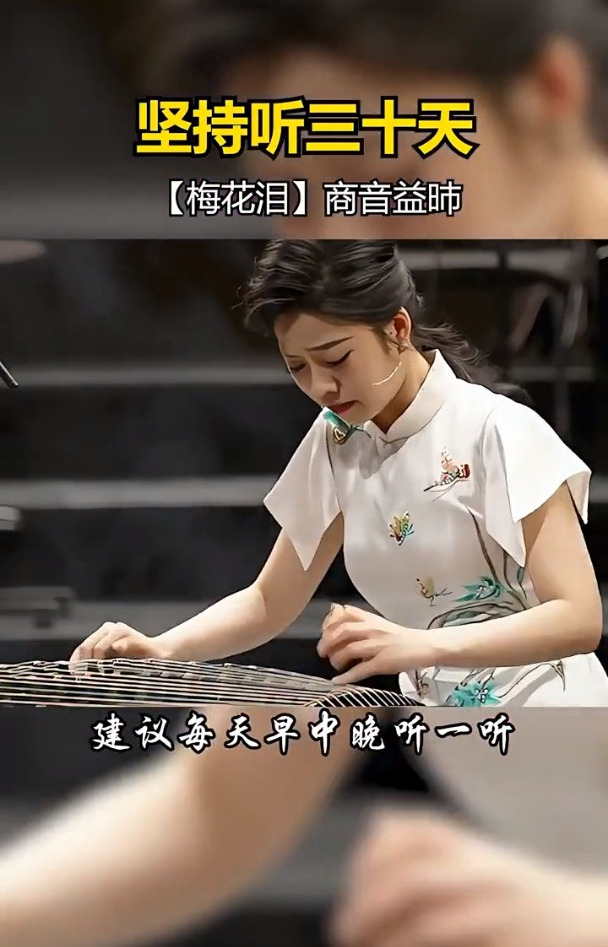 一曲禅音静心养心曲《梅花泪》禅意五音疗愈,修身养性轻音乐